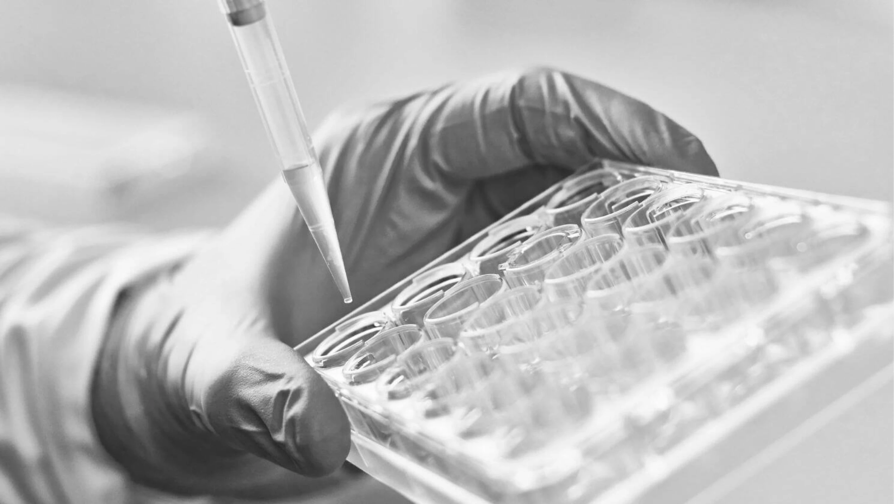 Untitled design - 2024-12-04T173119.445 (1)